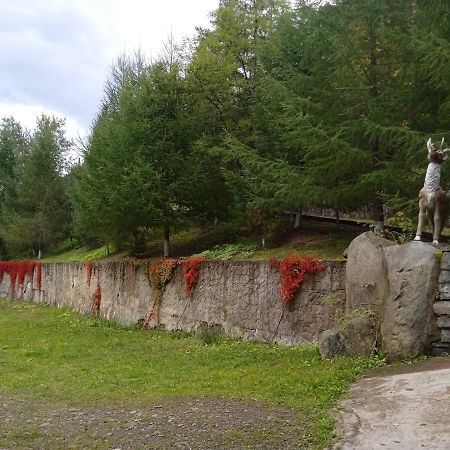 Садиба Федорчуків Гірська Хатина Šešory Exteriér fotografie