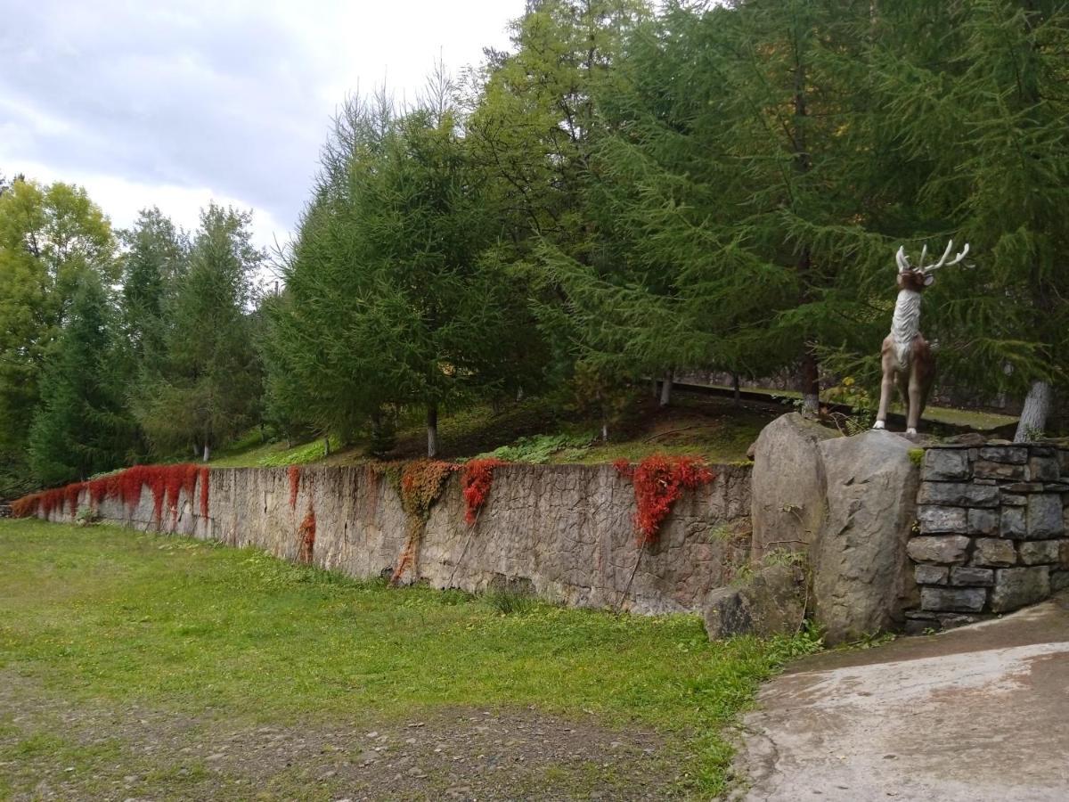 Садиба Федорчуків Гірська Хатина Šešory Exteriér fotografie