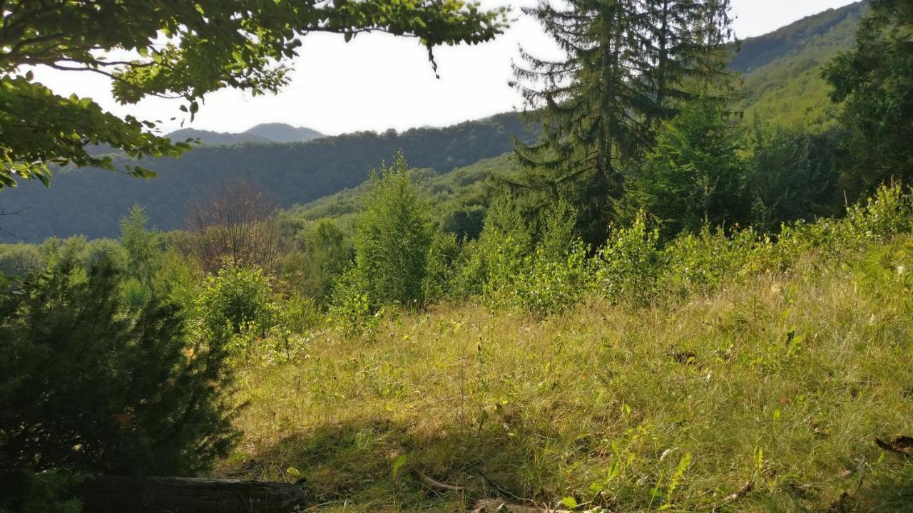 Садиба Федорчуків Гірська Хатина Šešory Exteriér fotografie